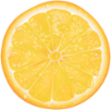 orange fruit